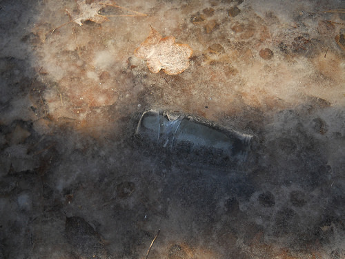 bottle embedded in ice