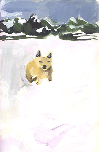 Animals in Translation