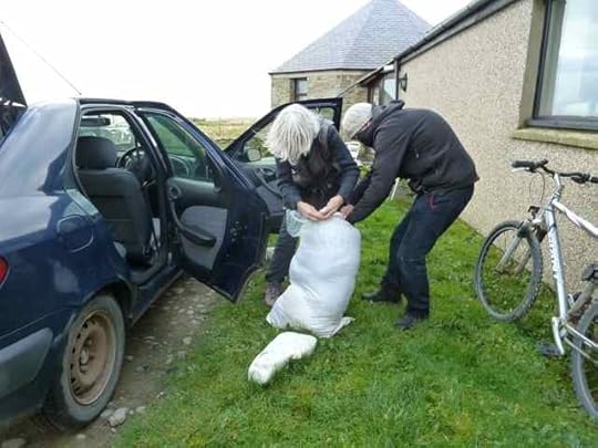 11a-wool-Liz-P1170929