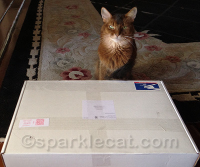 Hurry up and take the photo so we can open this.