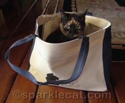 I think she is wondering why her silhouette isn't on the tote.