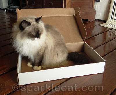 So far, she is the only one who wanted the box.