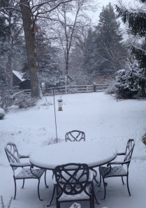 Seven hours later, the squirrel was gone, but we finally had snow.