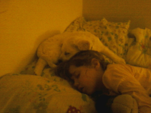 Hope's favorite place to sleep for her first month here.