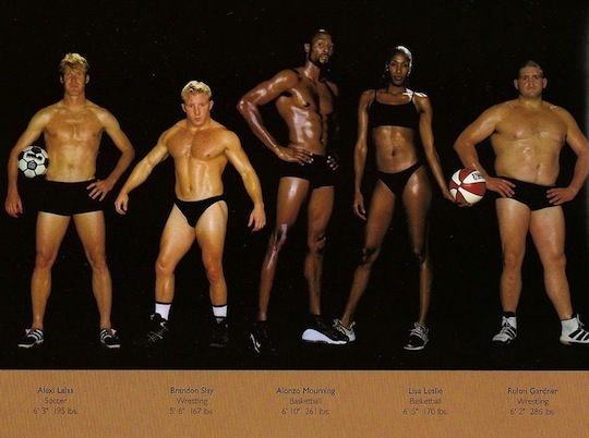 different body14