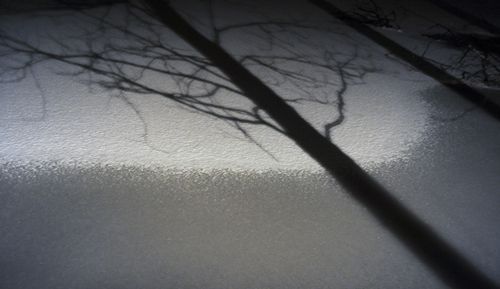 Frozenlake