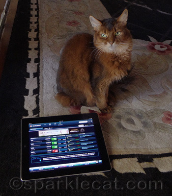 I am ready to be your financial advisor!