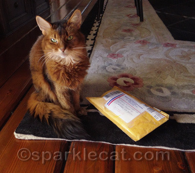 Sigh... just take the photo so we can get this thing open!