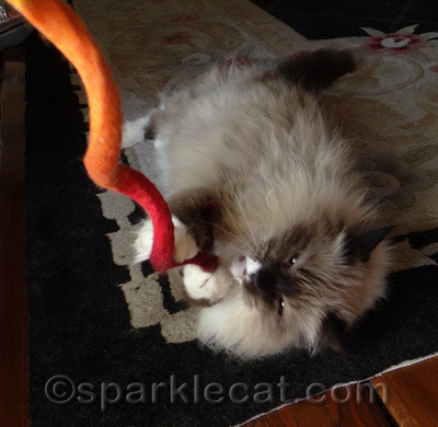 She was serious about killing that toy!