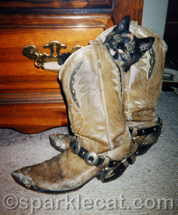 Every time I see this, I wonder how long she actually stayed in this boot!