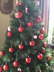 Christmas 001