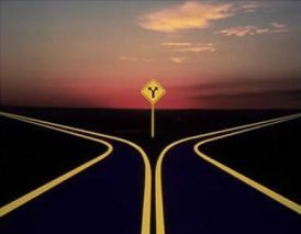 choose-your-path
