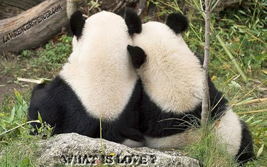 WHAT IS LOVE