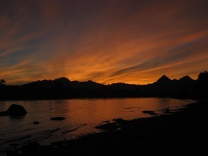 IMG_1868