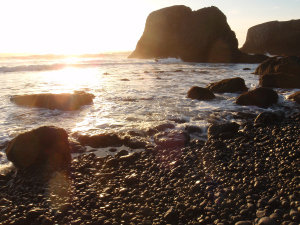 Brenda Wills, photographer