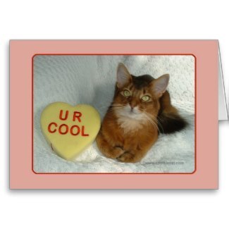 Valentine Kitty U R Cool Card