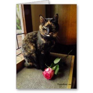 Tortoiseshell Cat and Rose Greeting Card