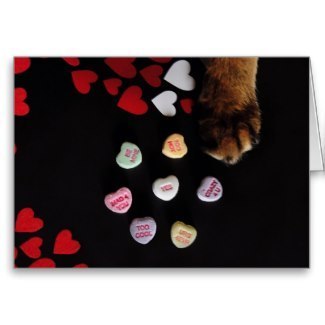 Kitty Candy Hearts Valentine's Day Card