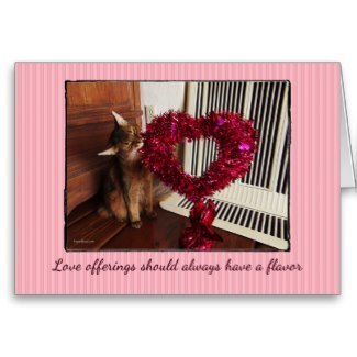 Love Offerings Somali Cat Card