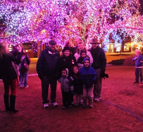 Magic Tree 008 square