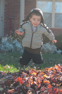 Nicholas jumping in the leaves