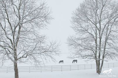 horse park
