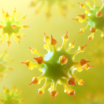 Virus Pandemic