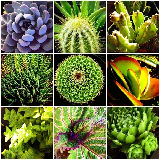 IMG_9539 9 Boxes by Rosa Say