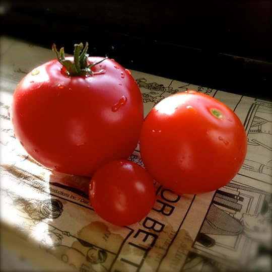 IMG_7505 Tomatoes on the sill by Rosa Say