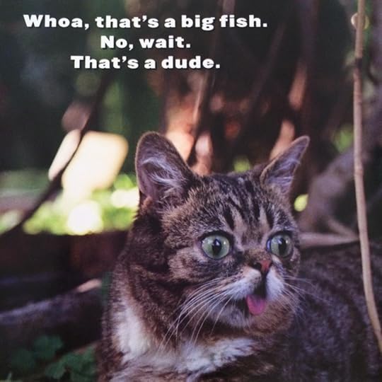  photo 519_zps2430fc4c.jpg