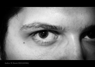 The Stare (243/365)