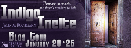 IndigoInciteTourBanner