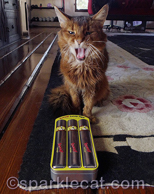 You don't even need to read my lips!