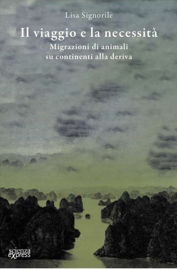 Il viaggio e la necessita