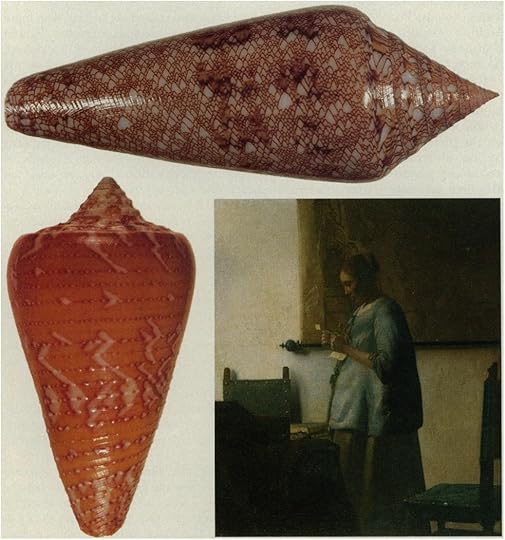 conus_vermeer