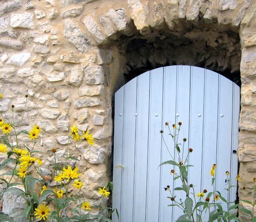1-yellow flowers blue door