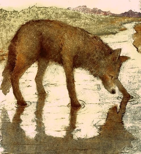 Old Coyote by Max Grafe