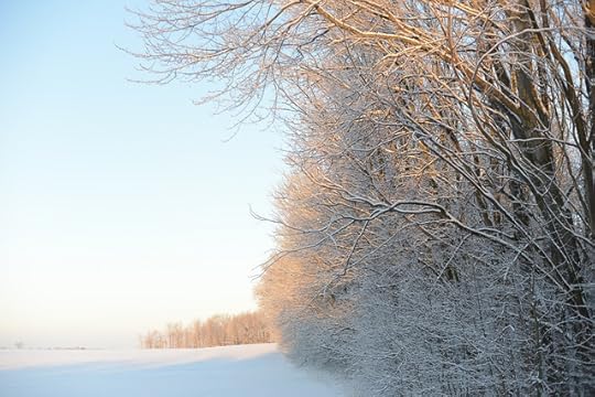 DSC_4113