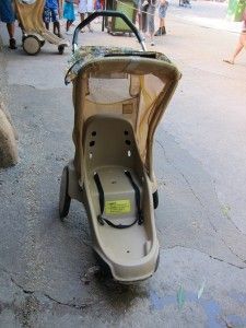 Disney rental strollers are not very comfortable. You'll probably want to bring your own.