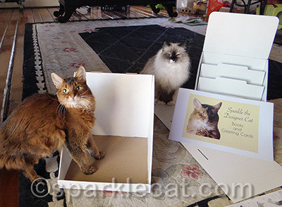 Quality control team present!
