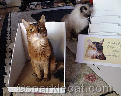 You do know you are going to give these to us cats when you are done with them