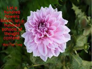 Let a Hundred Flowers Bloom---Let a Hundred Schools Contend