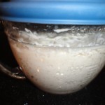 Dough for French Baguettes