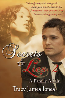 Secrets & Lies 2: A Family Affair 