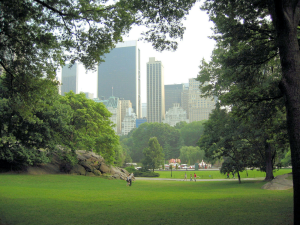 Central Park2