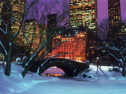 Central Park3
