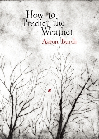 how to predict the weather