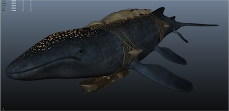 img-whale1