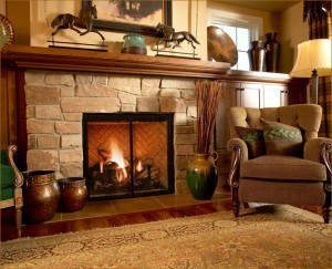 1-mendota-fireplace