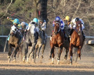 The turn of the Smarty Jones. Coady Photography
